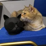 T8 Mini Cat Shape Stereo Wireless Bluetooth Speaker, Support Hands-free / TF Card / FM - Image 5