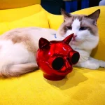 T8 Mini Cat Shape Stereo Wireless Bluetooth Speaker, Support Hands-free / TF Card / FM - Image 6