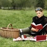 NewRixing NR-5012 Desktop Plating Bluetooth Speakerr, Support Hands-free Call / TF Card / FM / U Disk - Image 3