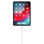 2A USB to USB-C / Type-C Data Cable, 1m, 2m - Image 4