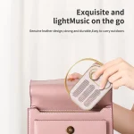 DW13 Portable HIFI Mini Retro Wireless Bluetooth Speaker - Image 6