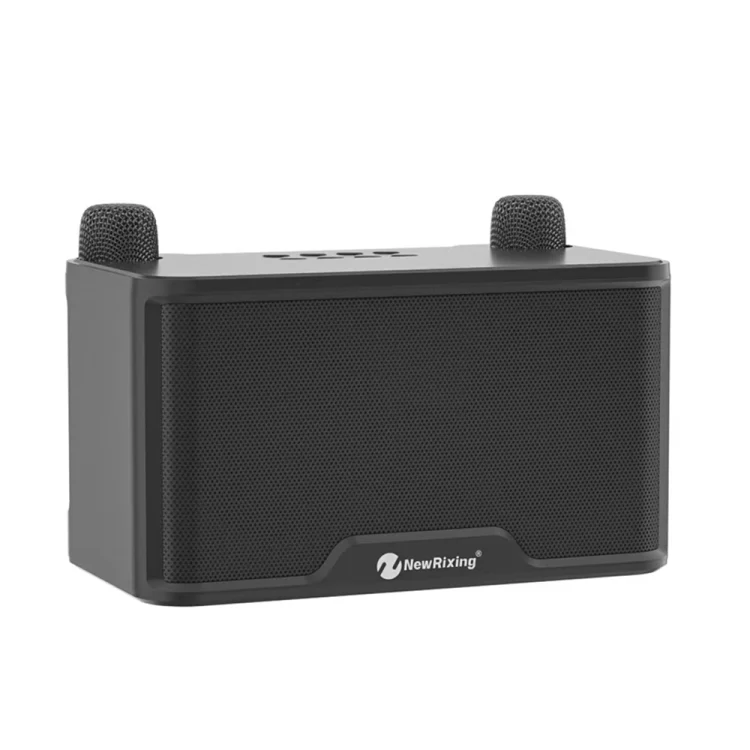 NR8088 Wireless Microphone TWS Handheld Noise Canceling Smart Bluetooth Speaker