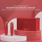 NR8088 Wireless Microphone TWS Handheld Noise Canceling Smart Bluetooth Speaker - Image 3