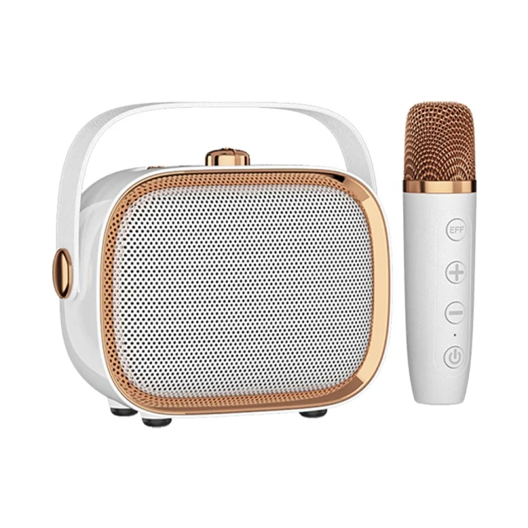 NR138W Wireless Microphone TWS Handheld Noise Canceling Portable Smart Bluetooth Speaker