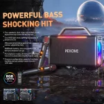 WK Beluga D1 Performer Outdoor Portable Bluetooth Speaker, D1 (Black) - Image 3