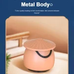 EWA A123 Portable Mini Speaker Chinese Style Bluetooth Speaker - Image 6