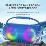 NewRixing NR2088 Wireless Portable TWS Bluetooth Speaker - Image 5