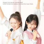 HiFi Bluetooth 5.3 Speaker Support FM, with 2 x Microphone - Image 9