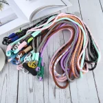 Universal Phone Long Lanyard with Clip - Image 2