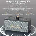 Oneder D3 Retro Leather Casing 30W Dual Units Wireless Bluetooth Speaker, D3 - Image 6