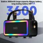 M3201 Portable Colorful Bluetooth Speaker Home Retro Karaoke Dual-Mic Speaker - Image 6