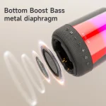 Zealot S66M RGB Rhythmic Light Karaoke Wireless Speaker, Single Mic, Dual Mic - Image 4