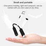 Type-C to 8 Pin / 3.5mm Audio Adapter Cable - Image 8