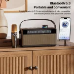 WEKOME Beluga 17 Lyrixing Lyrics Display Wireless Bluetooth Speaker - Image 3