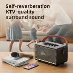 Zealot MT01M Retro Card Portable Wireless Bluetooth Speaker with Microphone, MT01 + 1 Mic - Image 9