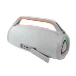 T&G TG417 40W Portable Outdoor Bass Dual Microphone Wireless Bluetooth Speaker - Image 4