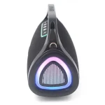 T&G TG417 40W Portable Outdoor Bass Dual Microphone Wireless Bluetooth Speaker - Image 5