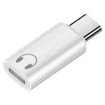 Type-C Male to 8 Pin Female Hi-Fi Audio Earphone Adapter, Audio