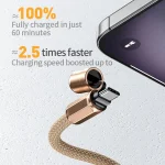 WK WDC-70 65W Type-C to Type-C Phone Lanyard Data Cable, Length: 1.6m - Image 3