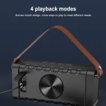 awei Y668 20W TWS Outdoor Bluetooth Speaker - Image 8