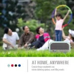 NewRixing NR-3000 Stylish Household Bluetooth Speaker with Hands-free Call Function, Support TF Card & USB & FM & AUX - Image 6