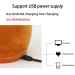 Sunflower Sax Style Bluetooth Plush Children Adult Toy ,Support USB Charging & Battery - Image 6