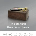 Retro Style Bluetooth Speaker, Built-in High-sensitivity FM Receiving Antenna, Long-term Voyage - Image 4