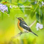 2 PCS Hat-Prince ENKAY 0.2mm 9H 2.15D Round Edge Rear Camera Lens Tempered Glass Film Protector, For Samsung Galaxy Note20, For Samsung Galaxy Note20 Ultra, For OnePlus Nord - Image 6