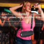 NewRixing NR3026M TWS Outdoor Portable K-song Wireless Bluetooth Speaker High-power Aduio Amplifer with Shoulder Strap & Microphone, Support TF Card / FM - Image 6