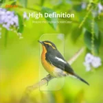 10 PCS ENKAY Hat-Prince 0.2mm 9H 2.15D Round Edge Rear Camera Lens Tempered Glass Film Protector, For Samsung Galaxy S21(10 PCS), For Samsung Galaxy S21+(10 PCS), For Samsung Galaxy S21 Ultra(10 PCS) - Image 8