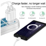 Dual USB Portable Travel Charger + 1 Meter USB to Micro USB Data Cable, EU Plug - Image 15