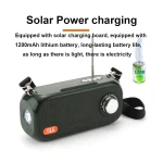 T&G TG613 TWS Solar Portable Bluetooth Speakers with LED Flashlight, Support TF Card / FM / AUX / U Disk - Image 3