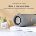 T&G TG324 High Power Waterproof Portable Bluetooth Speaker Support FM / TF Card - Image 7