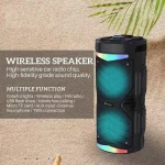 NewRixing NRG6601A Outdoor Portable Karaoke Wireless Speaker 20W Audio Amplifier With Mic - Image 5