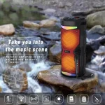 NewRixing NRG6601A Outdoor Portable Karaoke Wireless Speaker 20W Audio Amplifier With Mic - Image 6