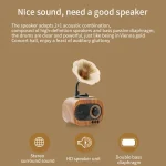 B5 Retro Phonograph Design Portable Wireless Stereo Speaker - Image 2