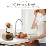 B5 Retro Phonograph Design Portable Wireless Stereo Speaker - Image 4
