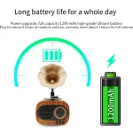 B5 Retro Phonograph Design Portable Wireless Stereo Speaker - Image 6