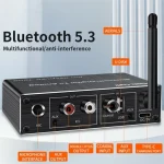 T500 Bluetooth 5.3 Audio Adapter U-Disk Mic Amplifier Speaker Converter with Remote Control - Image 5