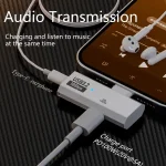 USB-C / Type-C Male to Dual Type-C Female USB3.2/10Gbps OTG Converter PD100W Charging Adapter, Dual Type-C - Image 6