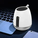 MUSKY DY50 LED Light, Portable Wireless Bluetooth Subwoofer Speaker - Image 7