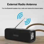 T9 Wireless Bluetooth 4.2 Speaker 10W Portable Sound Box FM Digital Radio 3D Surround Stereo, Support Handsfree & TF & AUX - Image 7