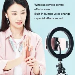 SN-537K 5.3 Bluetooth Live Earphones Built-In Sound Card Wireless Receiver Sports Earphones - Image 8