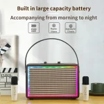 Leather Colorful Light Effect Karaoke Audio Retro Outdoor Bluetooth Speaker, Dual-microphone, Single Speaker - Image 6