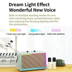 Leather Colorful Light Effect Karaoke Audio Retro Outdoor Bluetooth Speaker, Dual-microphone, Single Speaker - Image 8