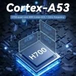 ANBERNIC RG40XXH WIFI Wireless Joystick Pocket Console HDMI Connection TV Online Sparring Game Console, 64G, 128G, 256G - Image 7