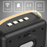 FT-BT20 Mini Retro Card USB Flash Drive FM Radio Wireless Bluetooth Speaker - Image 4