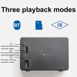 FT-M9 Outdoor Portable FM Radio Bluetooth Wireless Speaker - Image 4