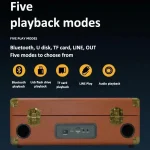 SDRD Wooden Box Karaoke Machine With Wireless Dual Mics All-In-One Speaker System Supports U Disk/TF Card - Image 4