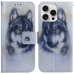 Coloured Drawing Flip Leather Phone Case, For iPhone 16 Pro Max, For iPhone 16 Pro